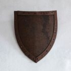 mrcctv-shield
